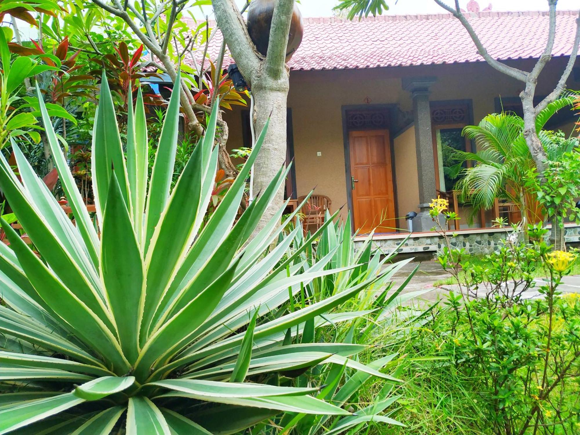 Asih Homestay Pemuteran  Bagian luar foto