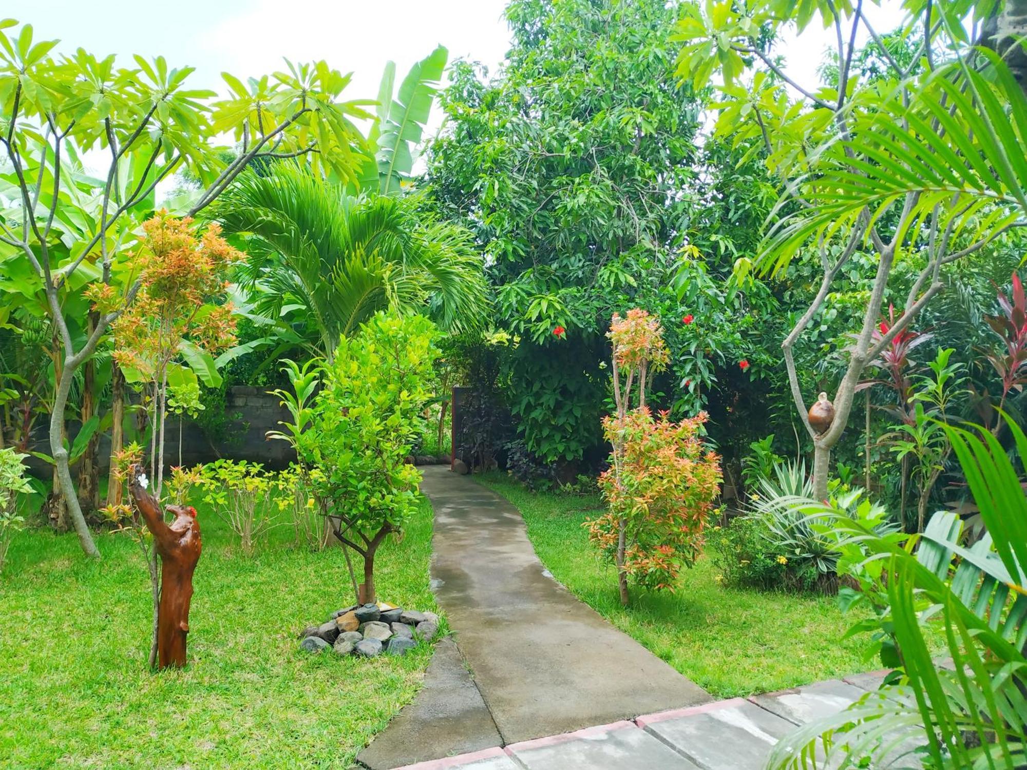 Asih Homestay Pemuteran  Bagian luar foto